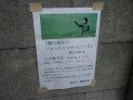 9月に刊行予定の告知